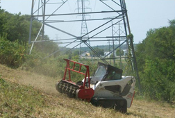 Trans Line Area Mowing
