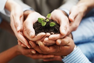 Image of many hands holding dirt and plant