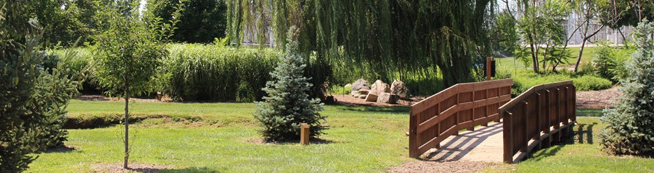 Arboretum photo