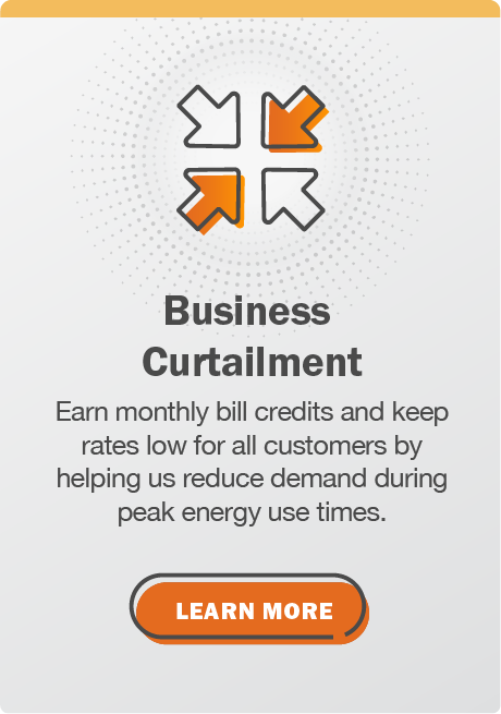 Business Curtailment: Earn monthly bill credits and keep rates low for all customers by helping us reduce demand during peak energy use times. Click here to learn more.