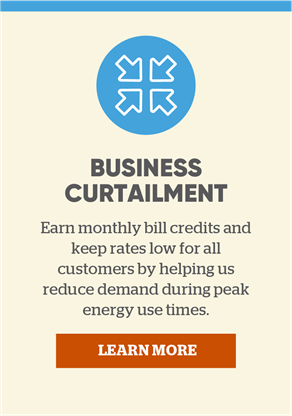 Business Curtailment: Earn monthly bill credits and keep rates low for all customers by helping us reduce demand during peak energy use times. Learn more.